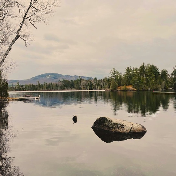 Meet your Posher, Michelle - Picture 1 of 1